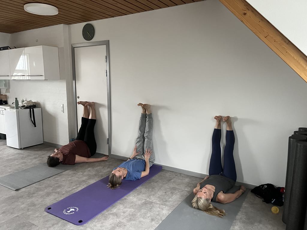 Body SDS grundtræning herunder fodholdstræning